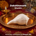White conch shell on a gold plate with 'Dakshinavarti Shankh' text and decorative elements.