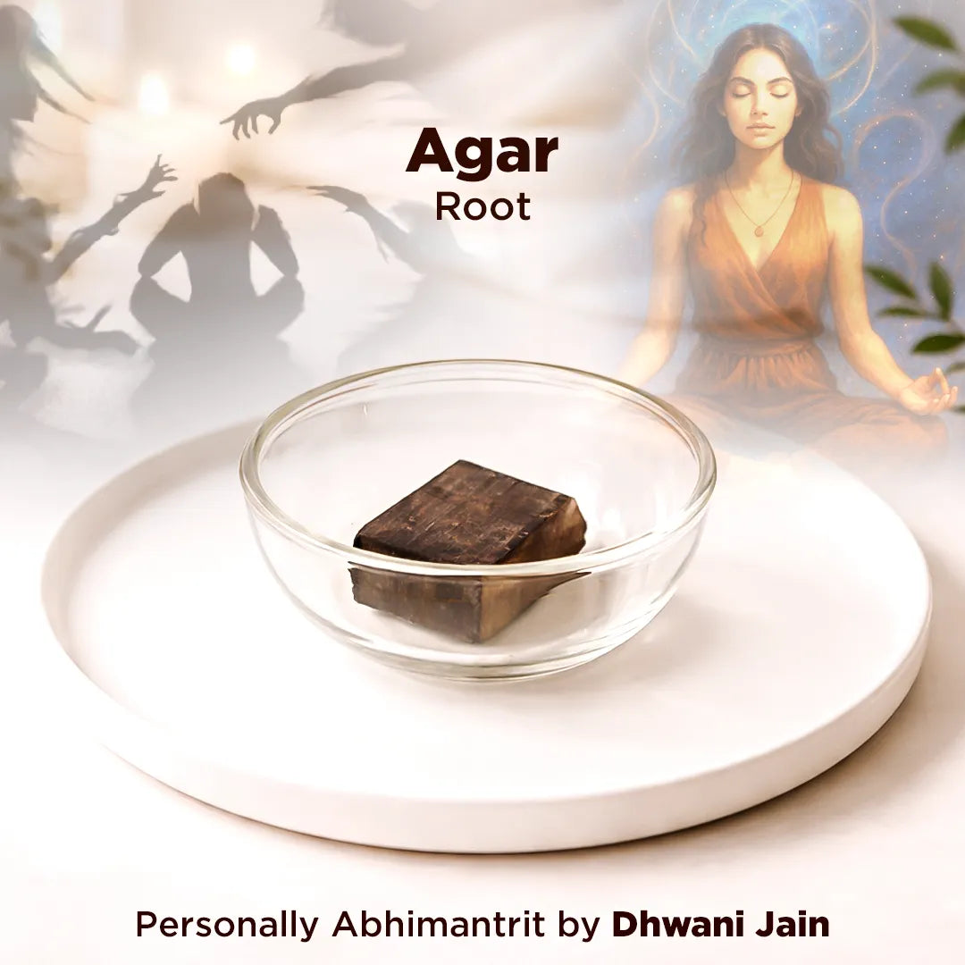 Brown agar root in a glass bowl with a blurred background featuring people and plants.