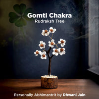 बुरे प्रभावों से बचाता है और सकारात्मक ऊर्जा लाता है वृक्ष (गोमती चक्र और रुद्राक्ष वृक्ष)-अभिमंत्रित