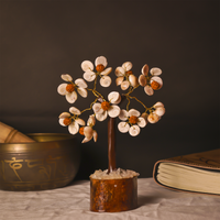 Gomti Chakra & Rudraksh Tree : Protects from evil effects and brings positive energy Tree