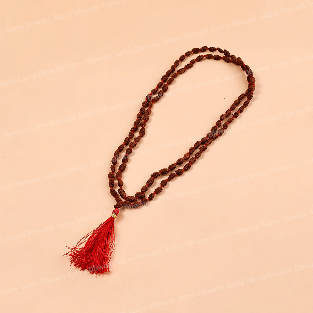 2 Mukhi Rudraksha Mala – Sacred Spiritual Necklace for Unity, Meditation & Divine Blessings