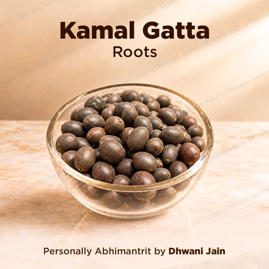 Kamal Gata Seed (Lotus Seed) - Abhimantrit ( 21 pieces )