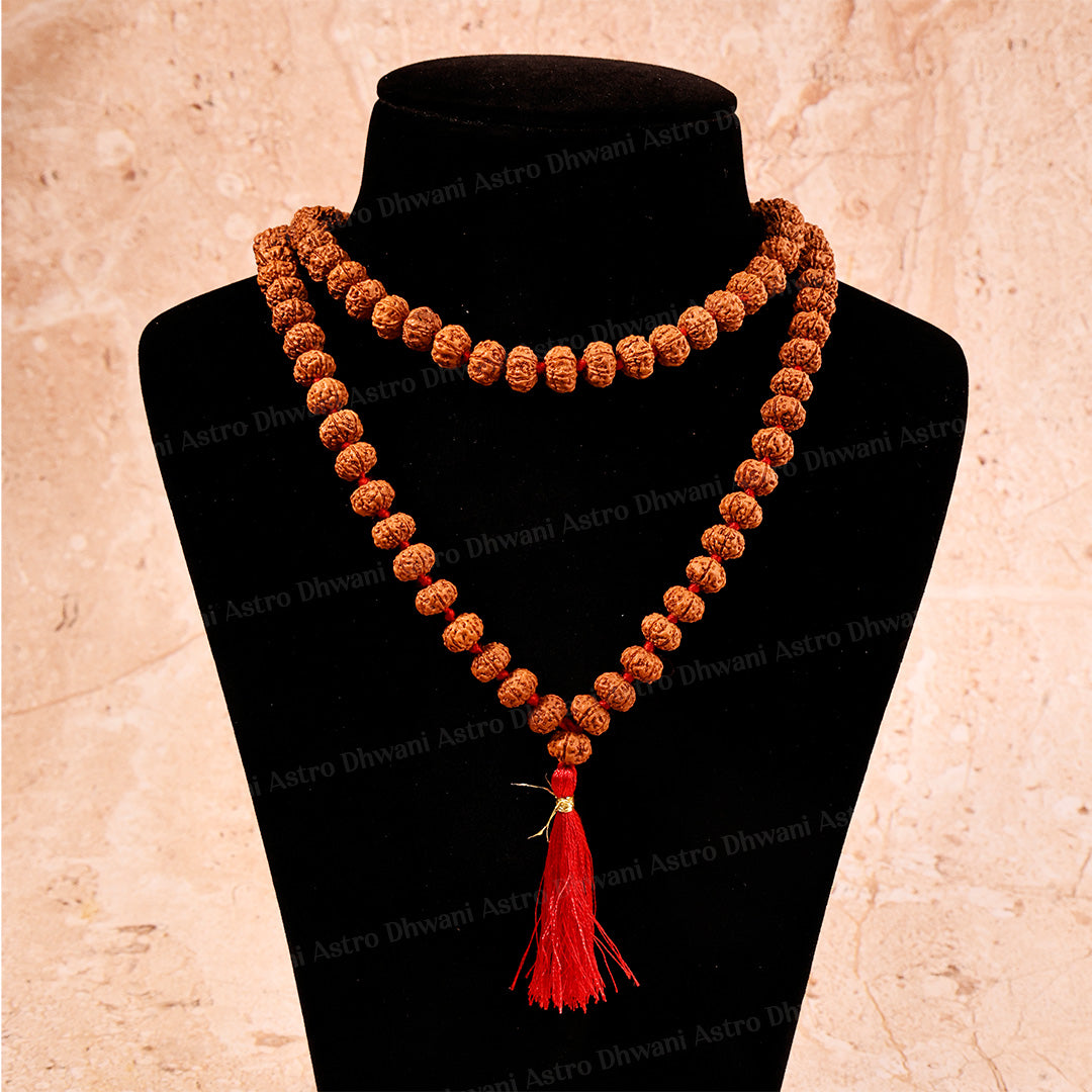 6 Mukhi Rudraksha Mala – Sacred Spiritual Necklace for Meditation, Strength & Lord Kartikeya Blessings