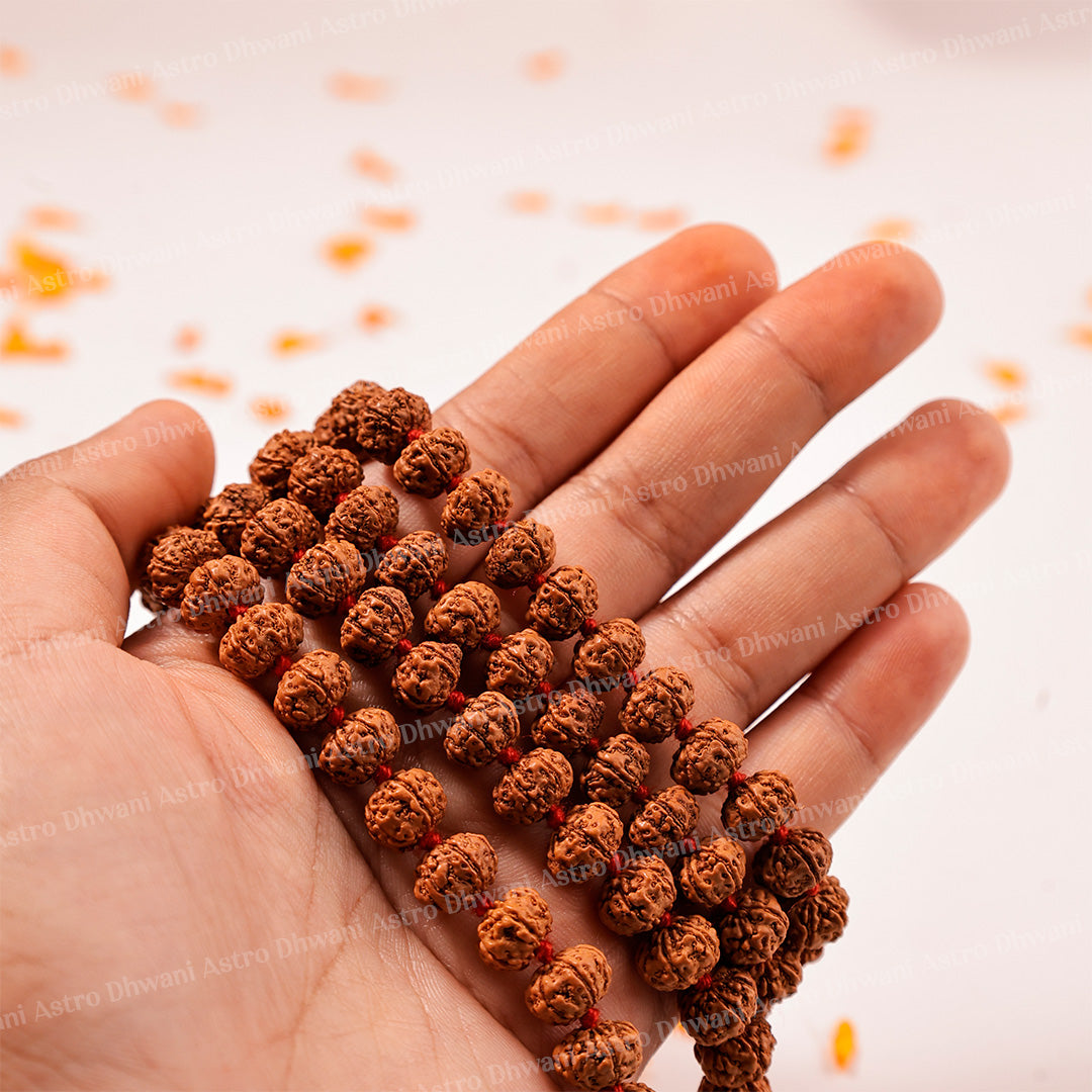 6 Mukhi Rudraksha Mala – Sacred Spiritual Necklace for Meditation, Strength & Lord Kartikeya Blessings