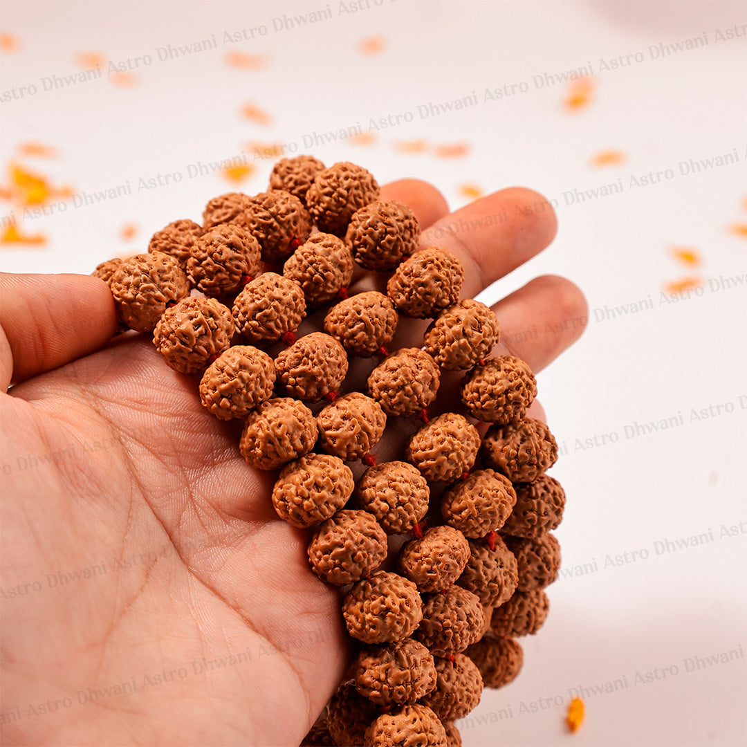 7 Mukhi Rudraksha Mala – Sacred Spiritual Necklace for Prosperity, Meditation & Inner Balance
