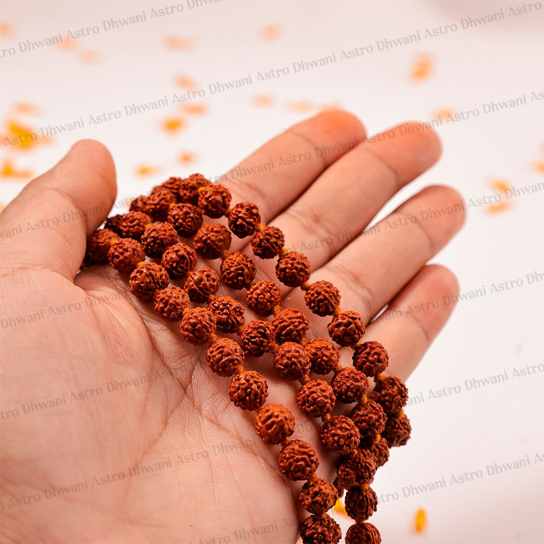 5 Mukhi Rudraksha Mala | Sacred Rudraksha Necklace for Meditation, Prayer, Japa & Spiritual Growth