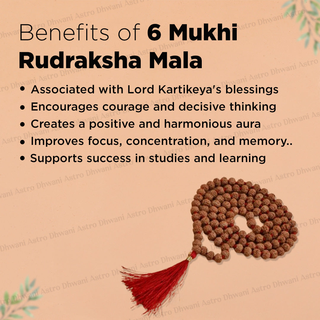 6 Mukhi Rudraksha Mala – Sacred Spiritual Necklace for Meditation, Strength & Lord Kartikeya Blessings