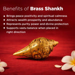 Decorative brass shankh with benefits listed on a red background