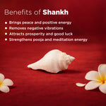 Shankh with flowers on a red background and text listing benefits of Shankh.