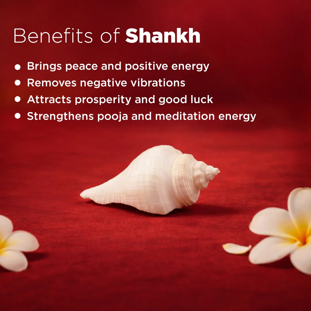 Shankh with flowers on a red background and text listing benefits of Shankh.Murli Shankh – Sacred Conch for Peace, Positivity & Spiritual Harmony