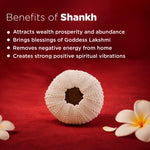 Shankh with benefits listed on a red background