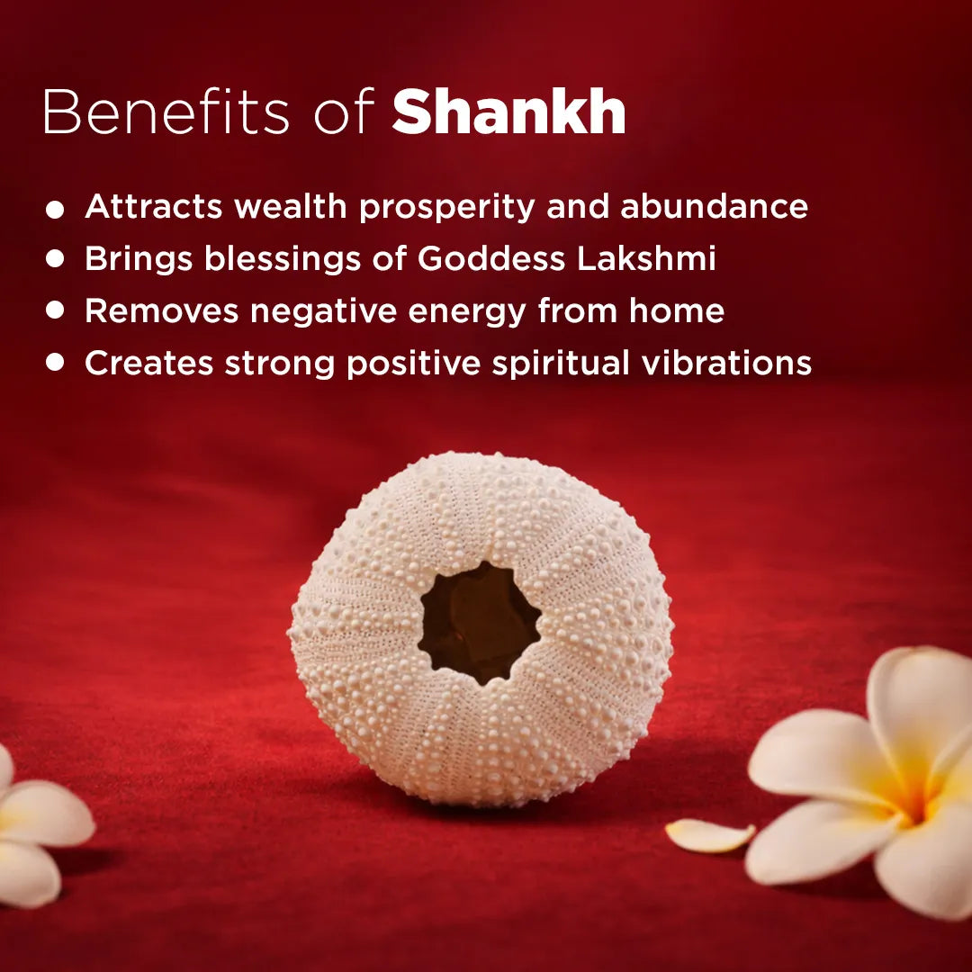Shankh with benefits listed on a red background