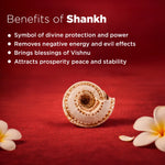 Shankh with benefits listed on a red background