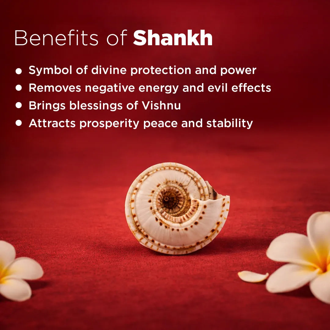 Shankh with benefits listed on a red backgroundVishnu Chakra Shankh – Sacred Conch for Protection, Prosperity & Divine Blessings