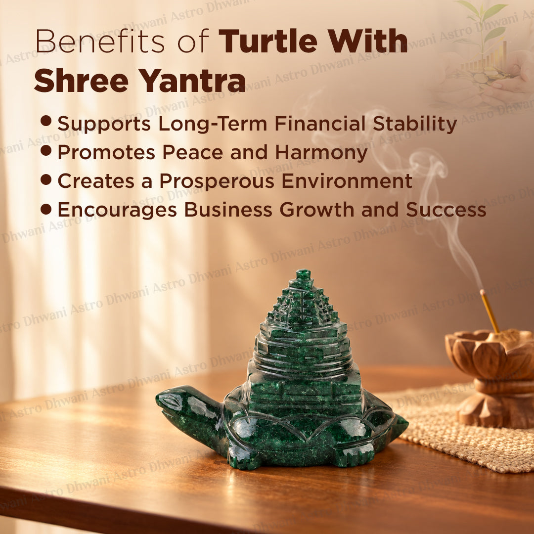 Turtle With Shree Yantra