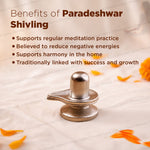 A metallic silver Shivling statue displayed on a light beige textured fabric background with scattered orange flower petals. On the top left, brown text lists the benefits of 'Paradeshwar Shivling' including support for meditation, reduction of negative energies, harmony in the home, and success and growth.