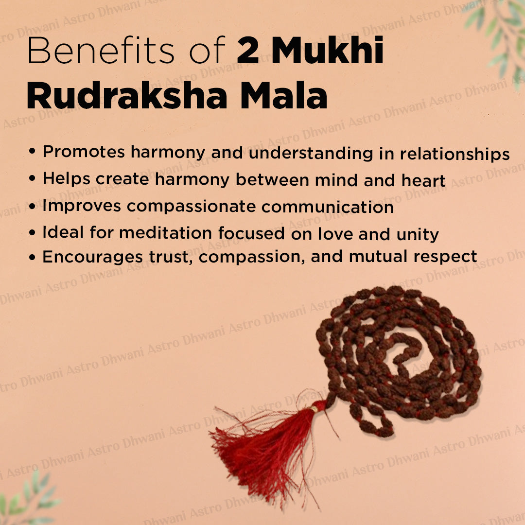 2 Mukhi Rudraksha Mala – Sacred Spiritual Necklace for Unity, Meditation & Divine Blessings