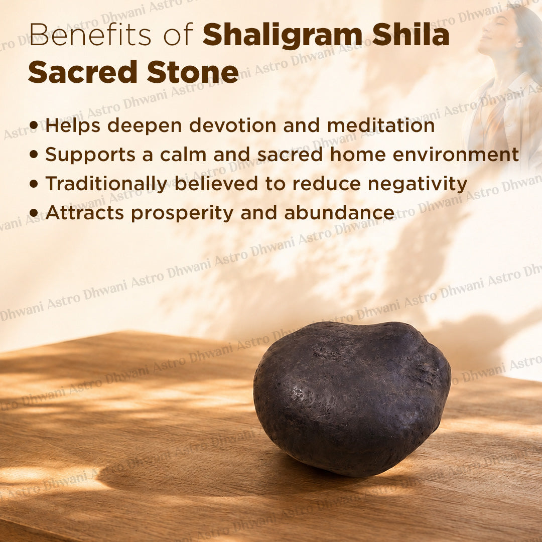 Natural Shaligram Shila | Sacred Shaligram Stone for Lord Vishnu Worship | Abhimantrit