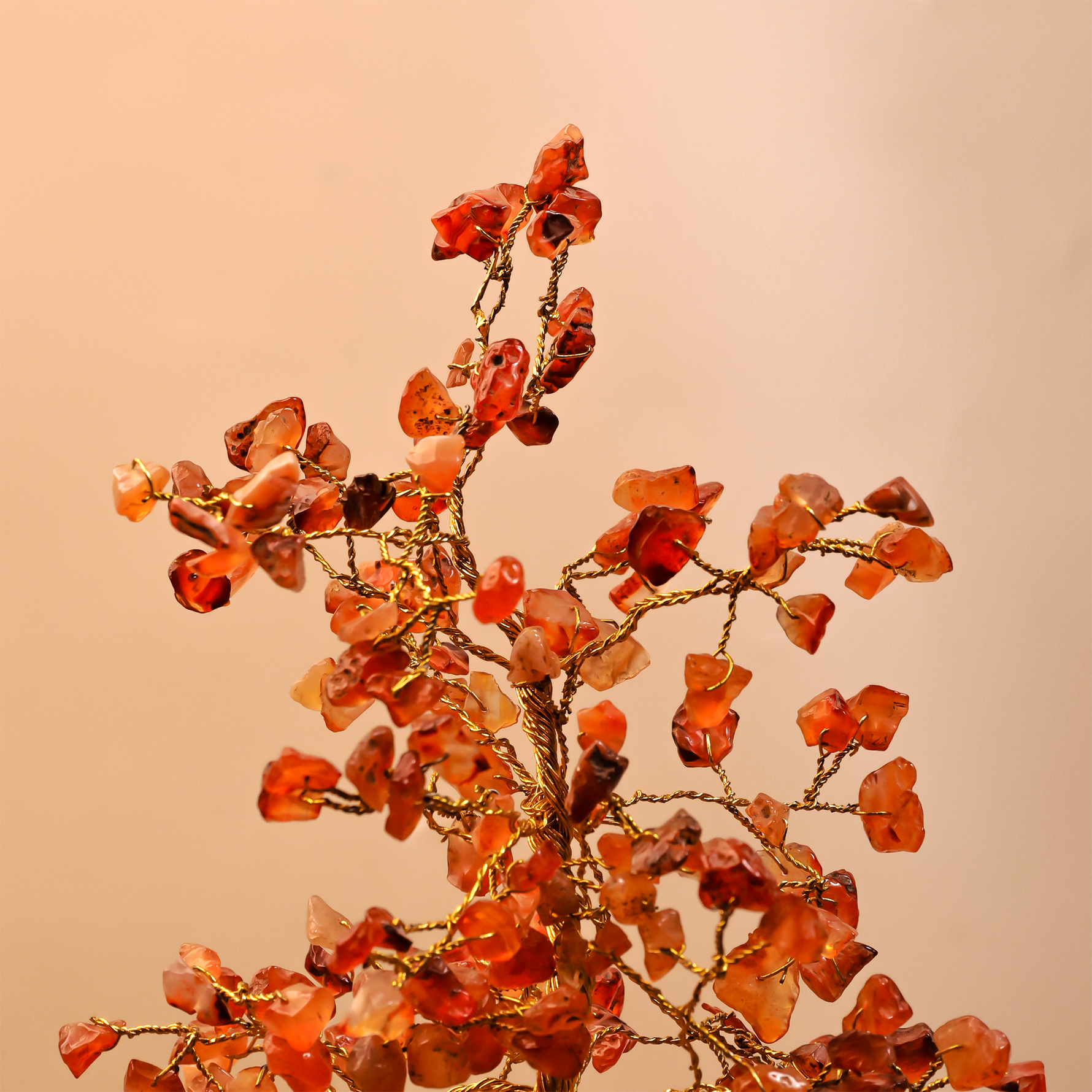 Carnelian TreeCarnelian Tree
