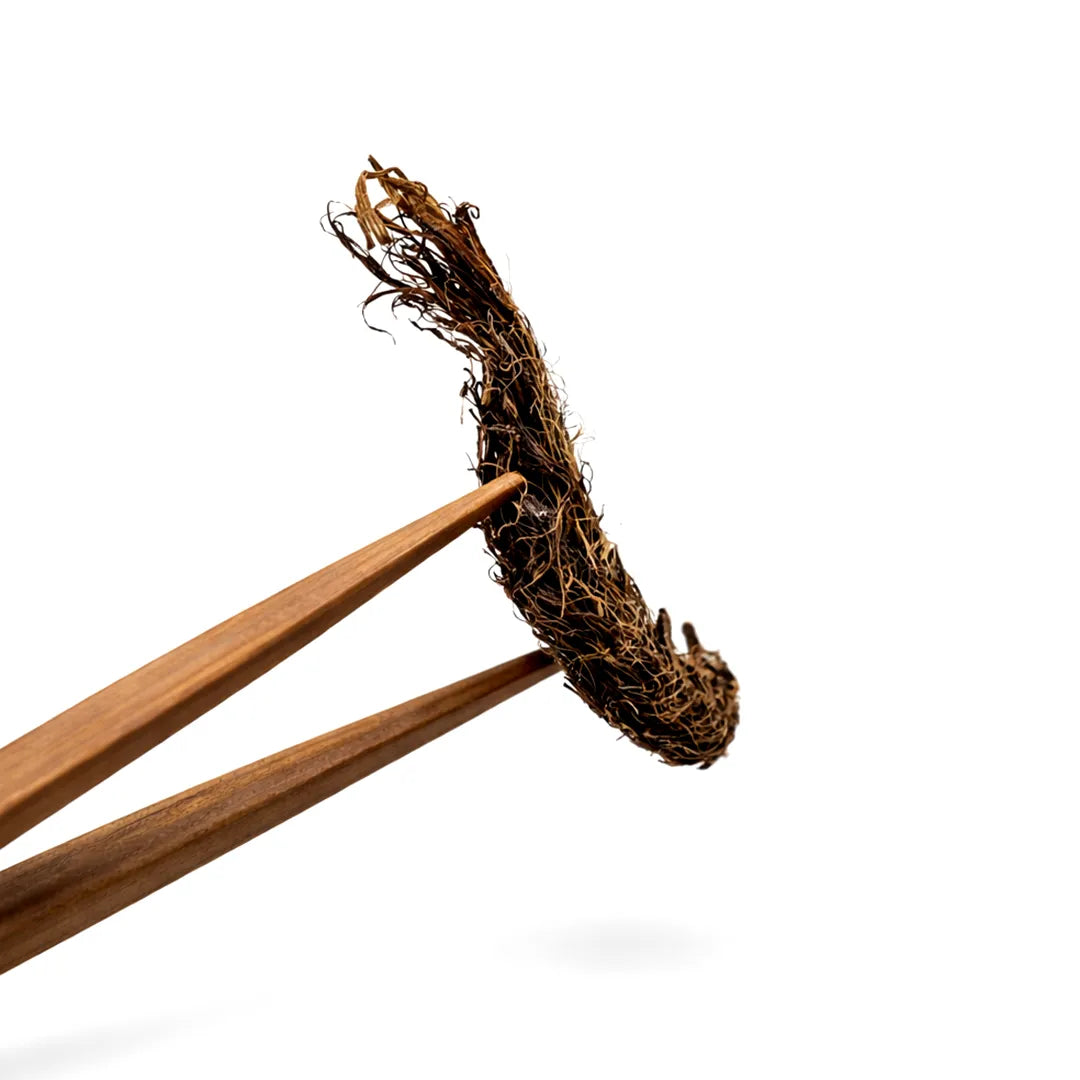 Wooden chopsticks with a dark, textured handle on a white background