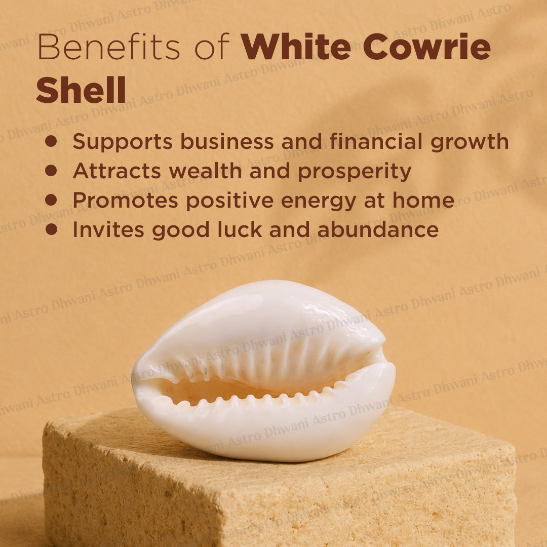A white cowrie shell displayed on a tan block against a warm beige background, with text listing the benefits of a white cowrie shell.