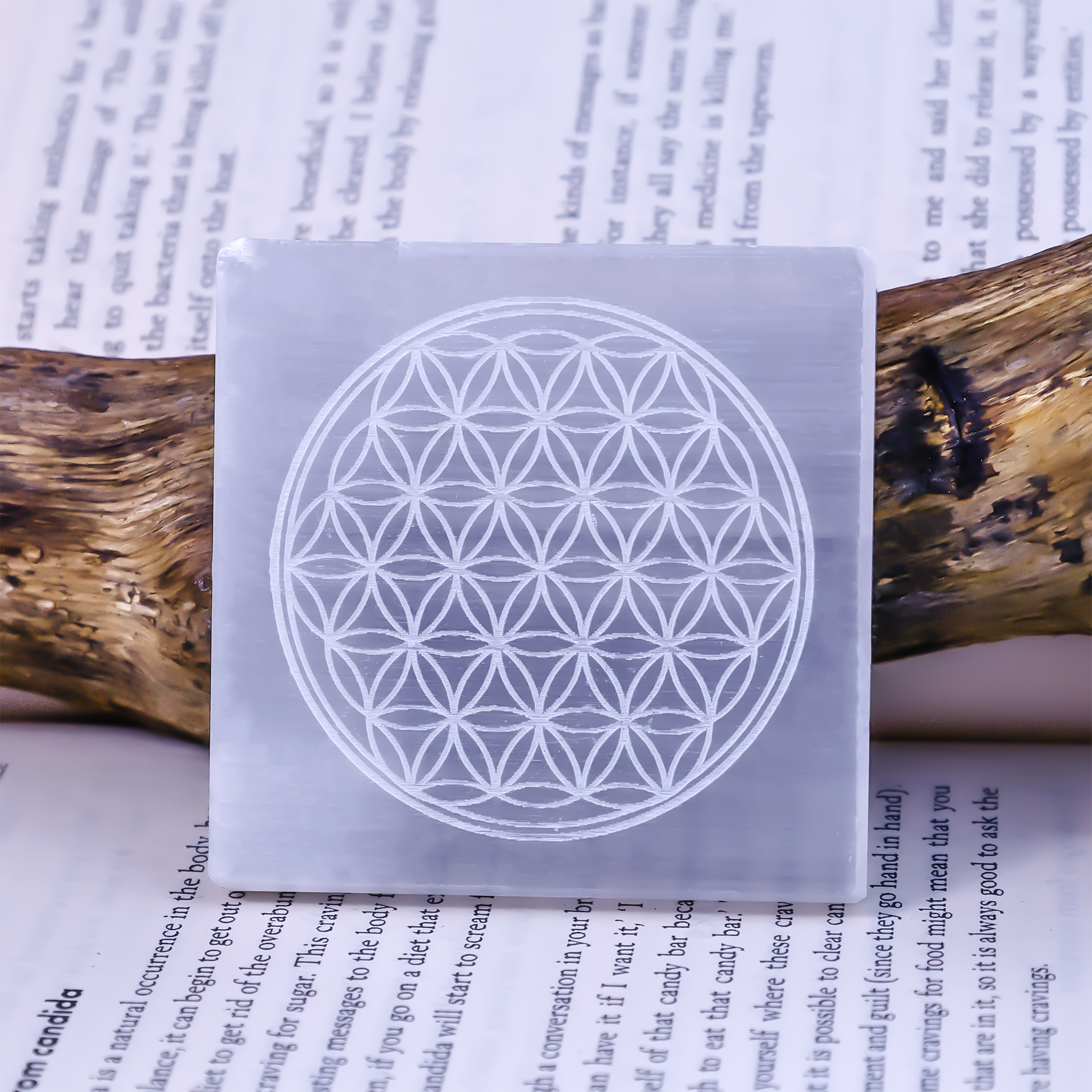 Flower of Life Selenite Plate Square