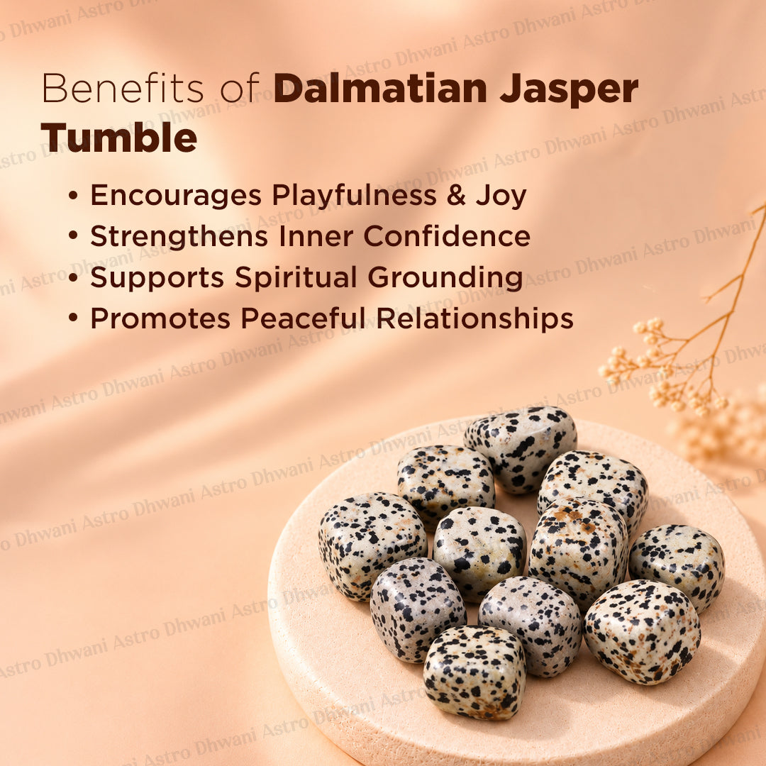 DALMATIAN JASPER TUMBLE ( Abhimantrit & Certified )