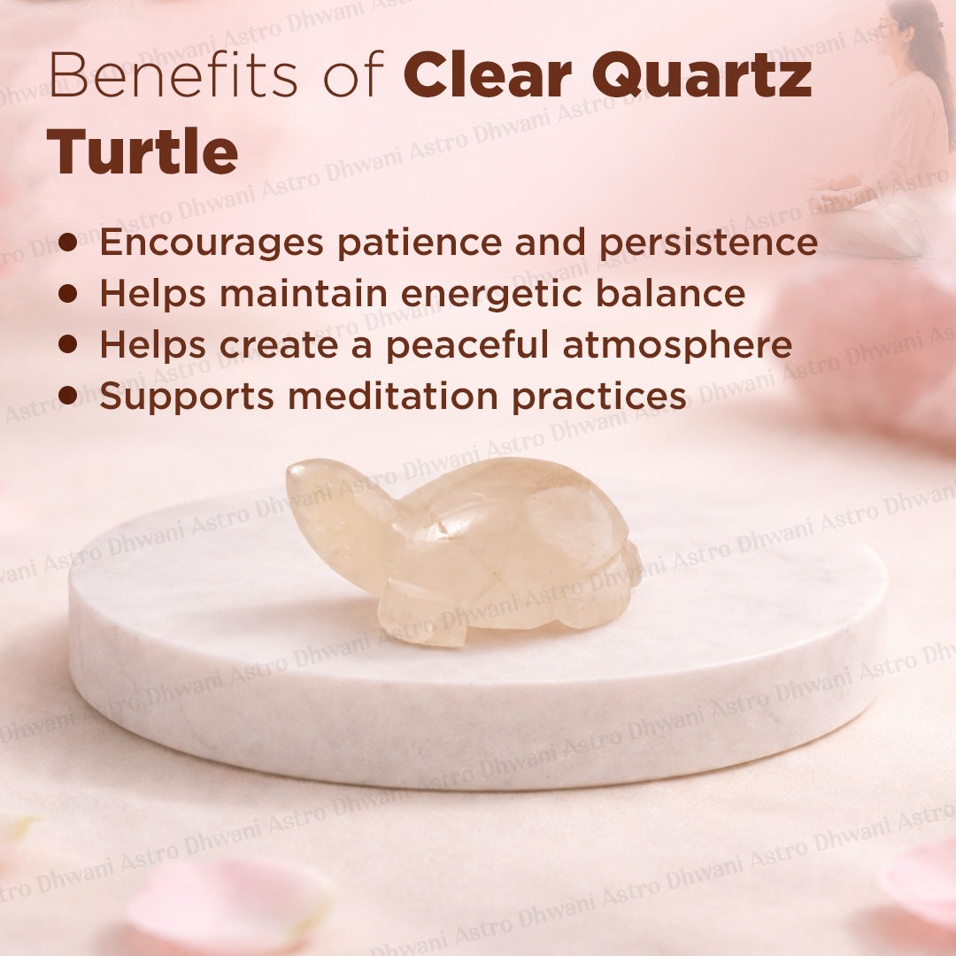 Clear Quartz Turtle | Vastu & Feng Shui Turtle | Meditation & Spiritual Gift