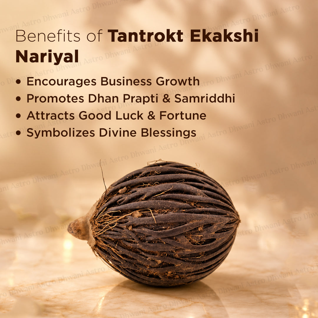 Tantrokt Ekakshi Nariyal - Abhimantrit