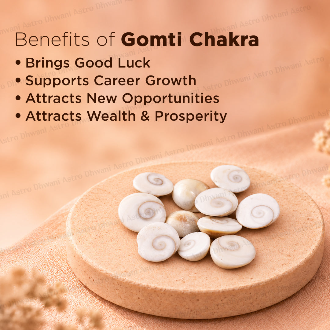 Gomti Chakra Shell ( Mini ) - Abhimantrit