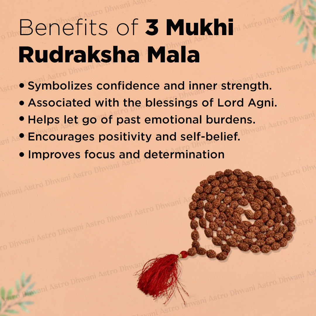 3 Mukhi Rudraksha Mala – Sacred Spiritual Necklace for Prayer, Meditation & Healing