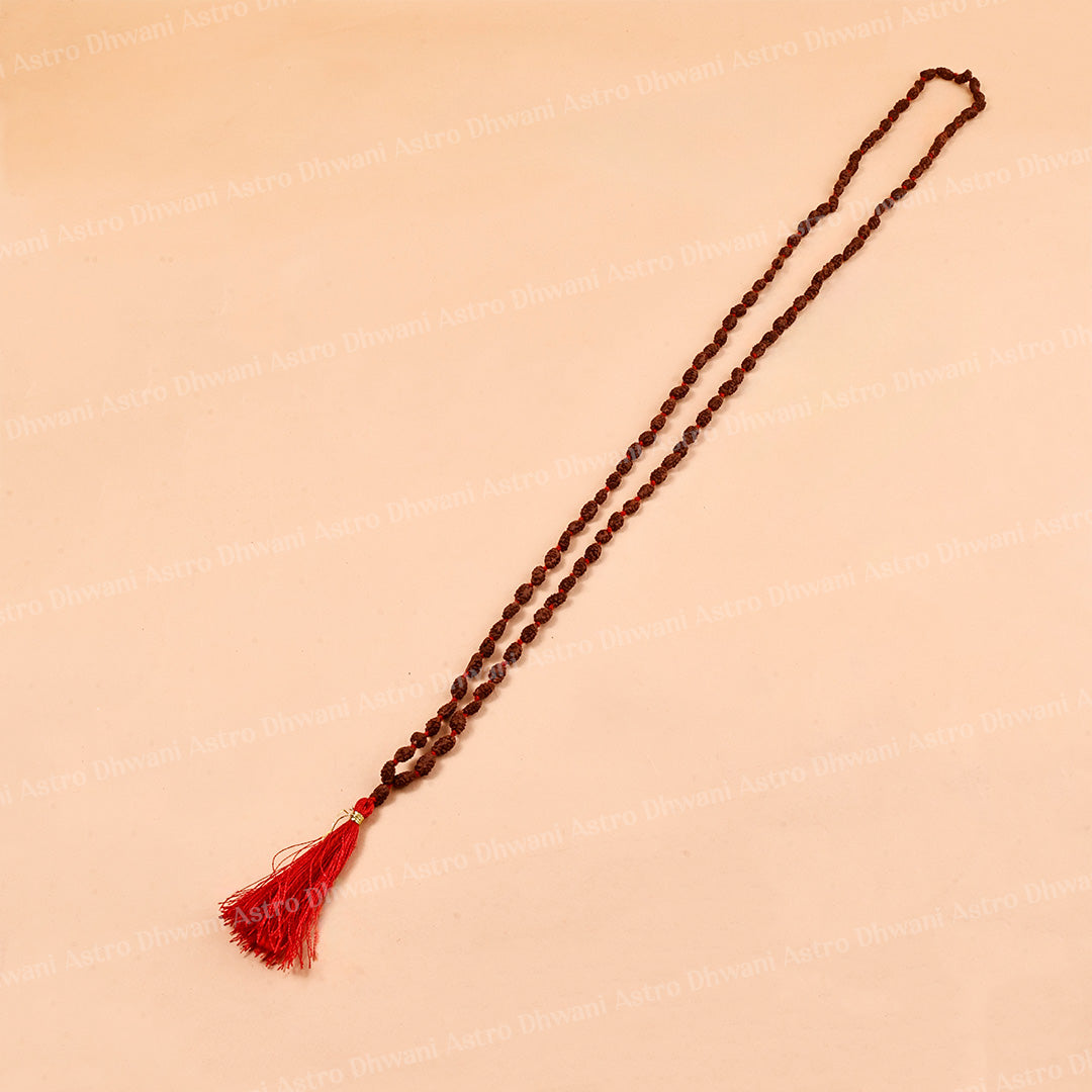 2 Mukhi Rudraksha Mala – Sacred Spiritual Necklace for Unity, Meditation & Divine Blessings