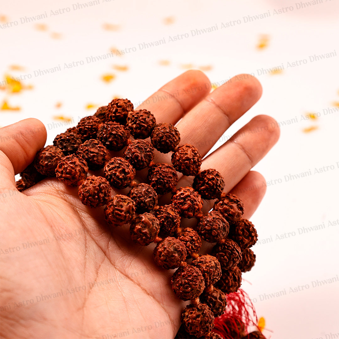 5 Mukhi Rudraksha Mala | Sacred Rudraksha Necklace for Meditation, Prayer, Japa & Spiritual Growth