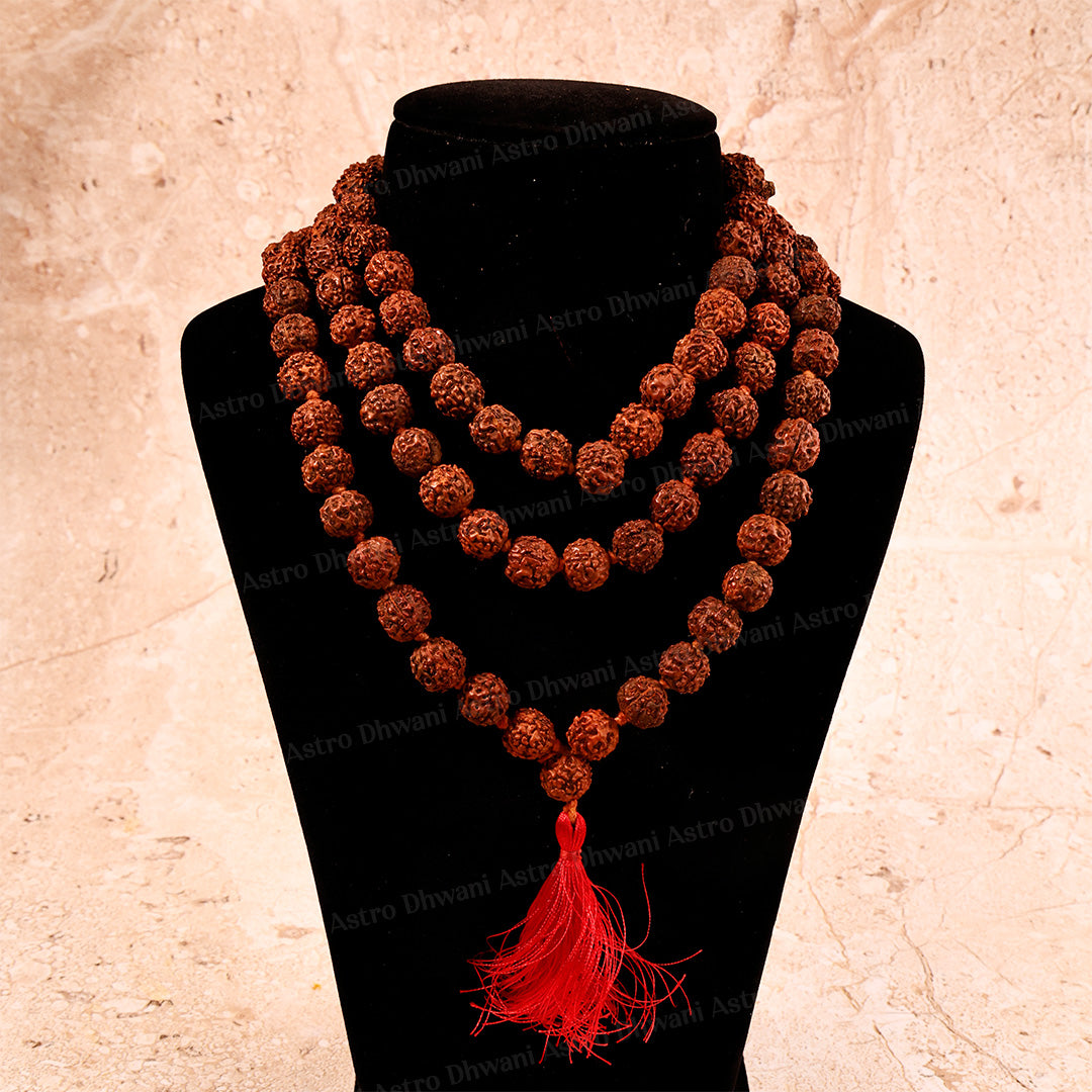 5 Mukhi Rudraksha Mala | Sacred Rudraksha Necklace for Meditation, Prayer, Japa & Spiritual Growth
