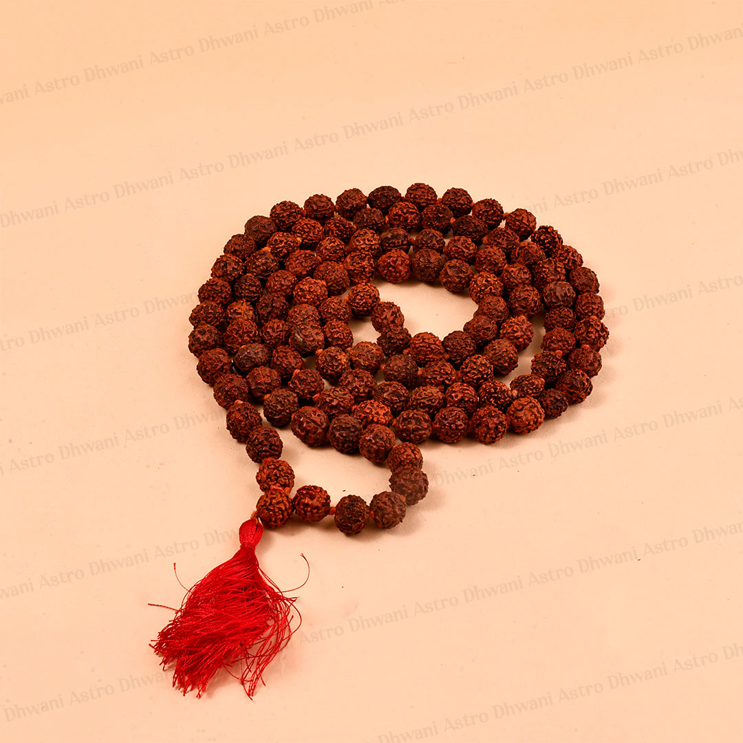 5 Mukhi Rudraksha Mala | Sacred Rudraksha Necklace for Meditation, Prayer, Japa & Spiritual Growth