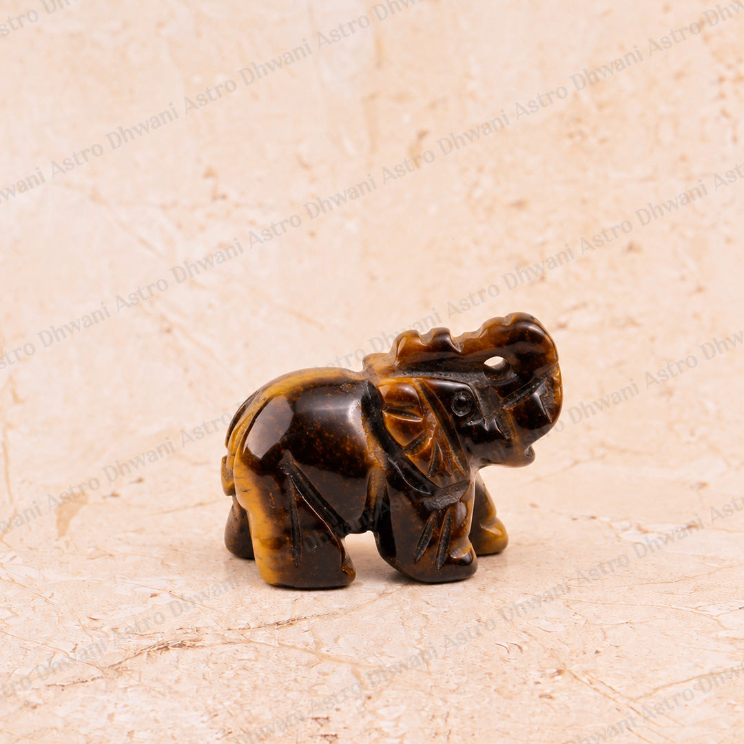 Tiger Eye Divine Elephant