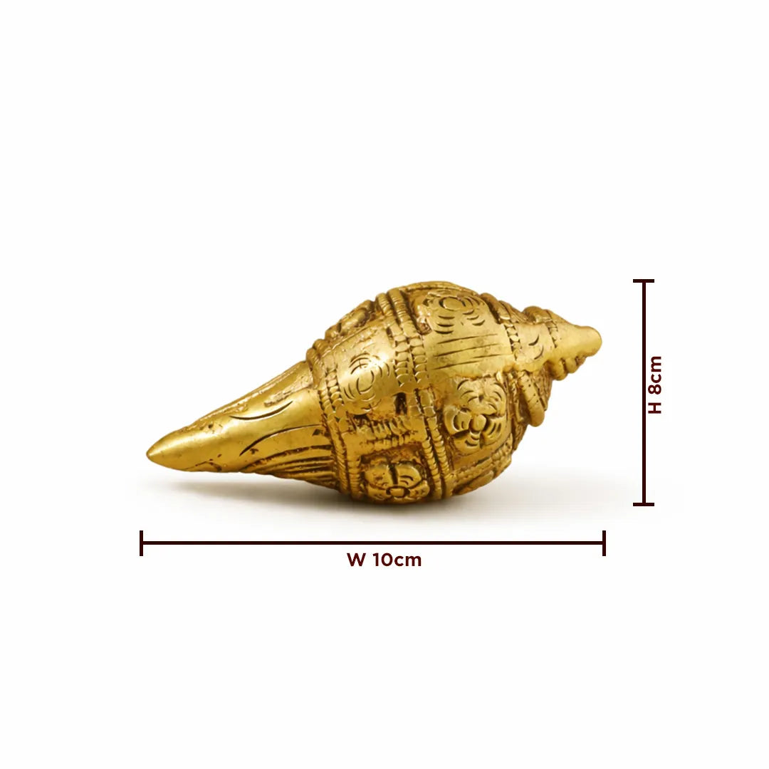 Decorative gold shell with measurements on a white background