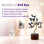 Decorative plant with stones on a blurred background with text about the benefits of an 'Evil Eye'.