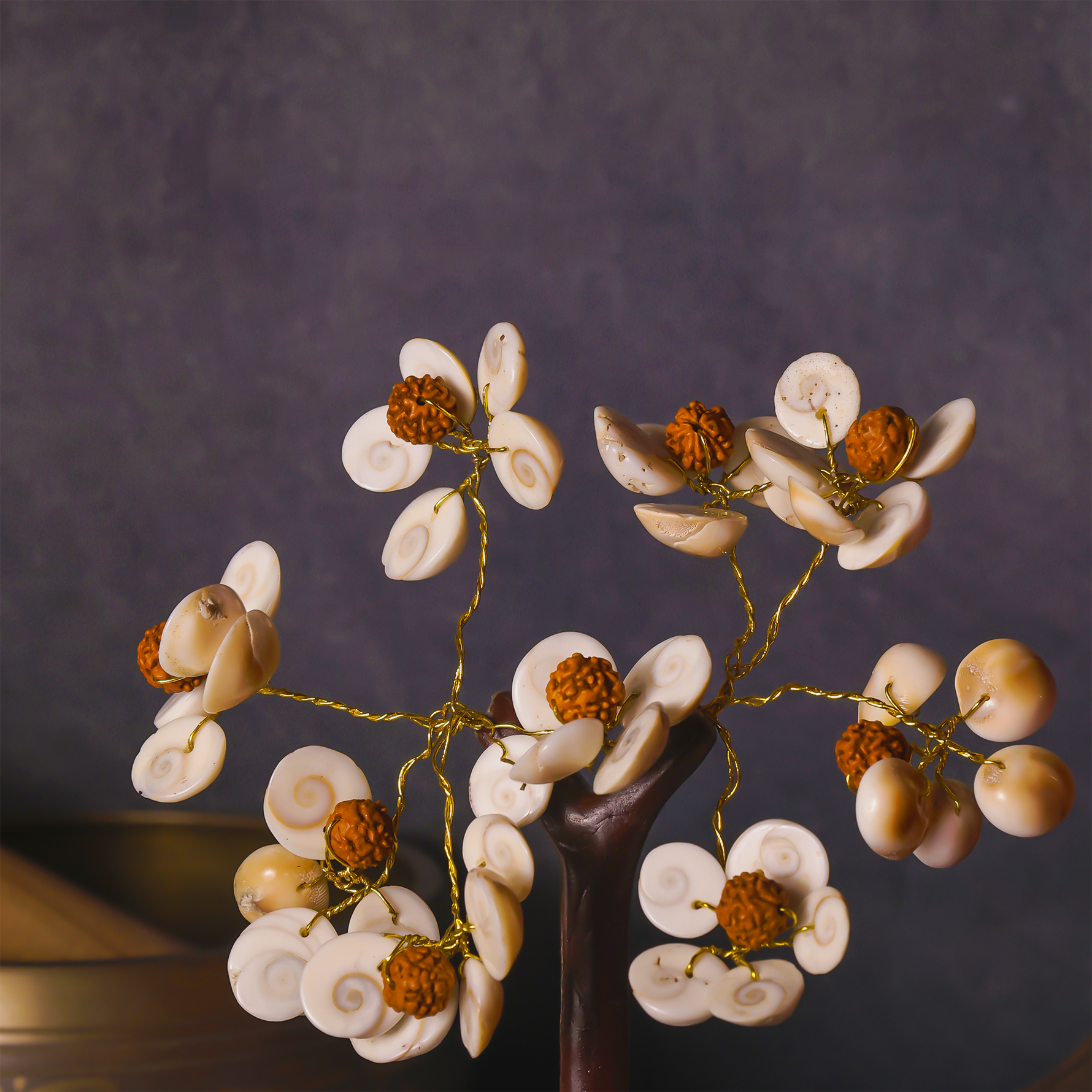 Protects from evil effects and brings positive energy Tree (Gomti Chakra & Rudraksh Tree)Protects from evil effects and brings positive energy Tree (Gomti Chakra & Rudraksh Tree)