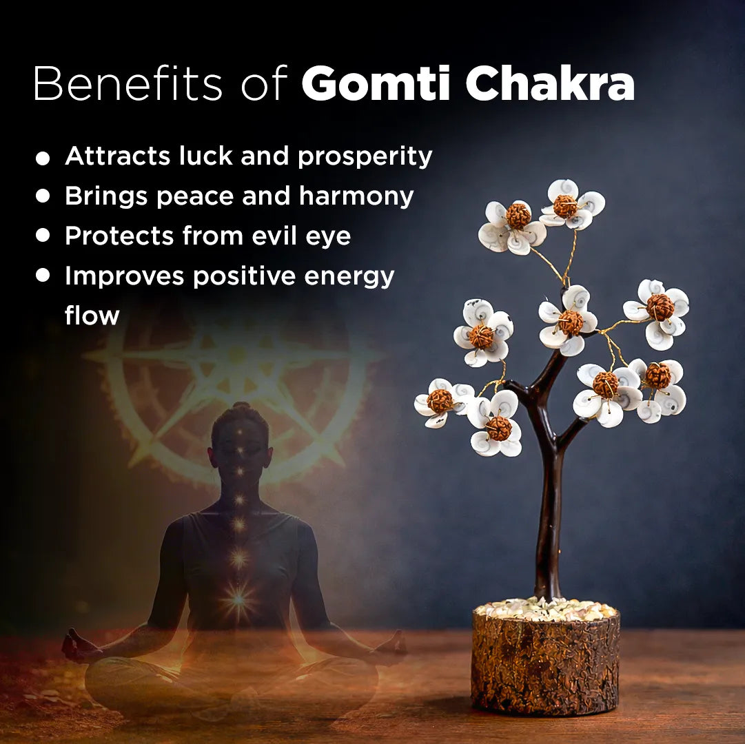 Gomti Chakra with benefits listed and a person meditating in the backgroundबुरे प्रभावों से बचाता है और सकारात्मक ऊर्जा लाता है वृक्ष (गोमती चक्र और रुद्राक्ष वृक्ष)-अभिमंत्रित