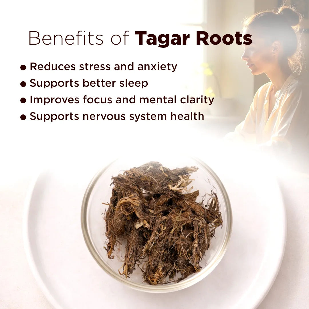 Benefits of Tagar Roots with a bowl of roots and a blurred backgroundTagar Root (Valerian Root) – Natural Remedy for Mental Peace & Sleep Balance
