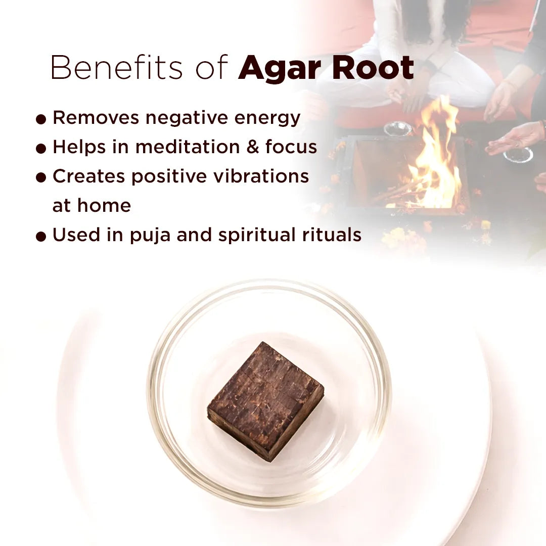 Agar root on a plate with benefits listed above, blurred background of people around a fire.