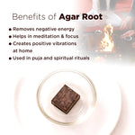 Agar root on a plate with benefits listed above, blurred background of people around a fire.