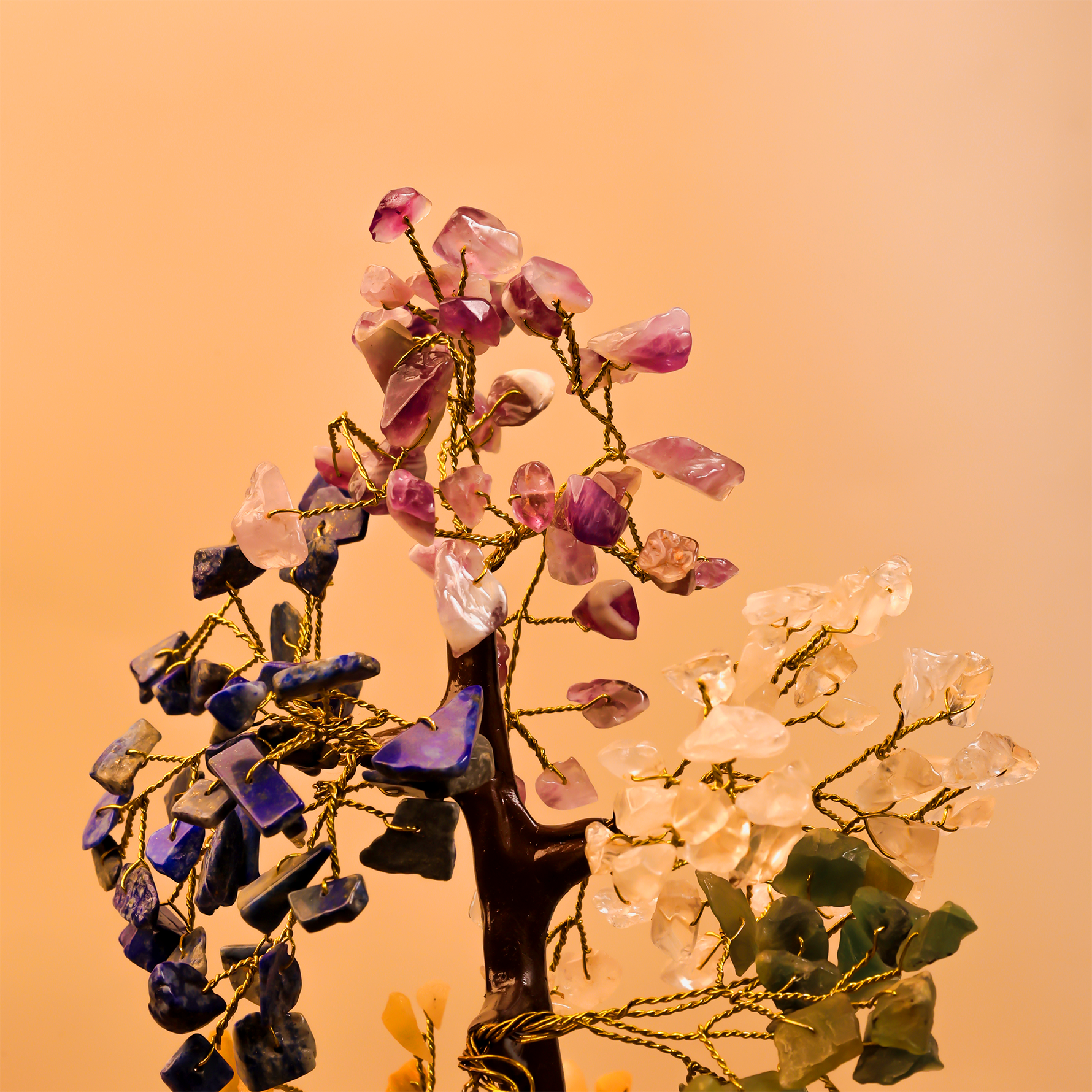 Seven Chakra Tree Seven Chakra Tree