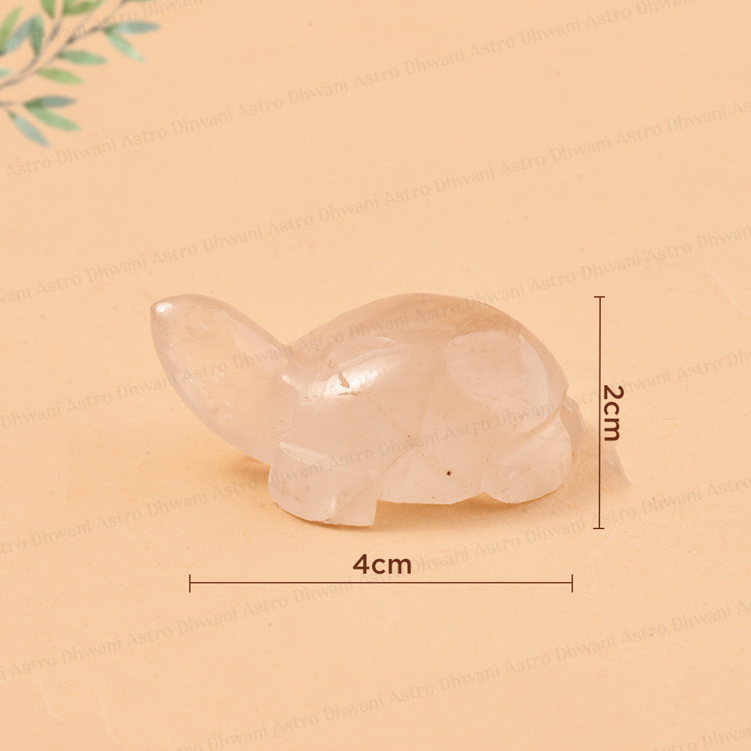 Clear Quartz Turtle | Vastu & Feng Shui Turtle | Meditation & Spiritual Gift