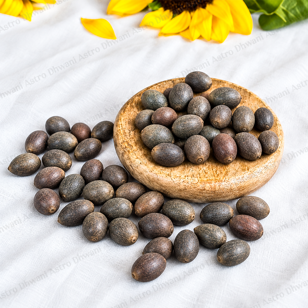 Kamal Gata Seed (Lotus Seed) - Abhimantrit ( 21 pieces )