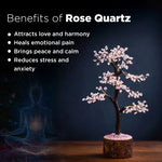 Rose Quartz tree with benefits listed on a dark background