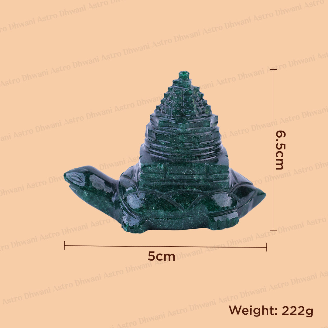 Turtle With Shree Yantra