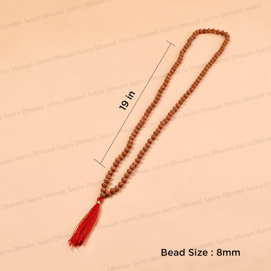 6 Mukhi Rudraksha Mala – Sacred Spiritual Necklace for Meditation, Strength & Lord Kartikeya Blessings