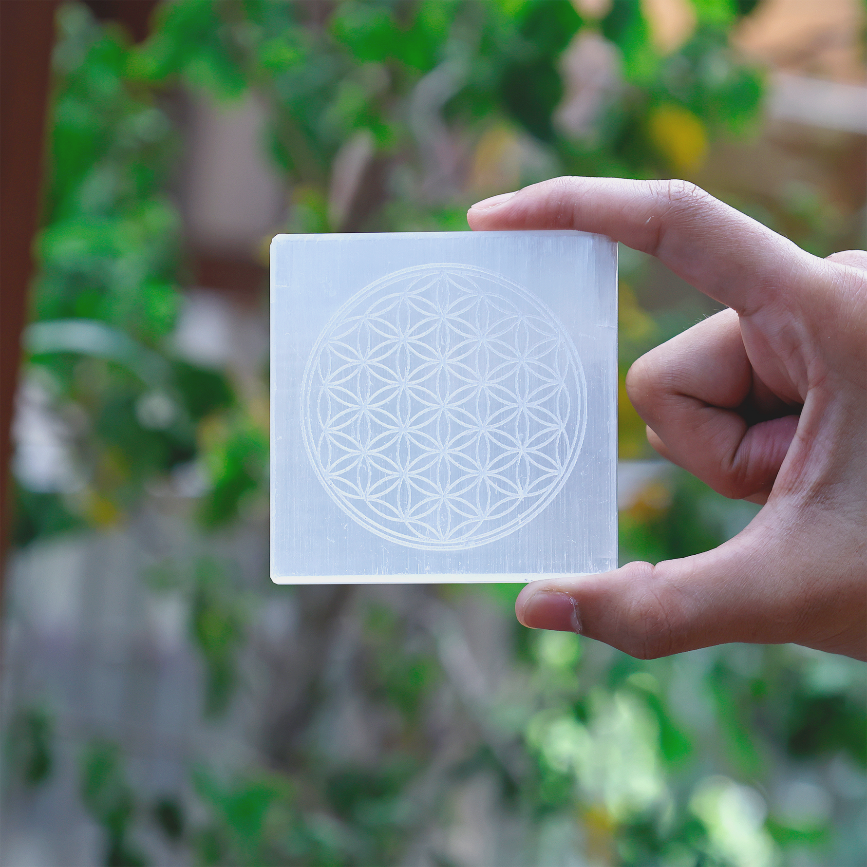 Flower of Life Selenite Plate Square